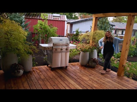 Planting 4 Beautiful Japanese Maples In Pots For The Deck! 😍🍁🙌  Best Trees For Container Gardening