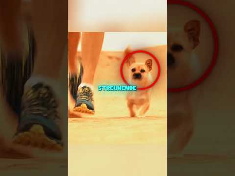 Er wollte nicht ohne ihn weiter laufen...😳❤️