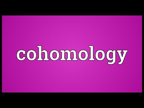 Cohomology Meaning