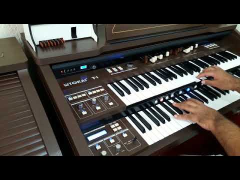 Orgão Eletrônico Tokai T-1 Litúrgico - Loja Teclasom