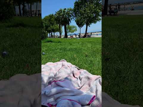 İstanbul  شاطئ فلوريا يشيل كوي