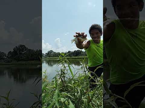 food. chain fishing challenge pt 2