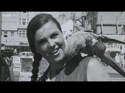 Raymond Briggs Snowmen Bogeymen and Milkmen - BBC Documentary