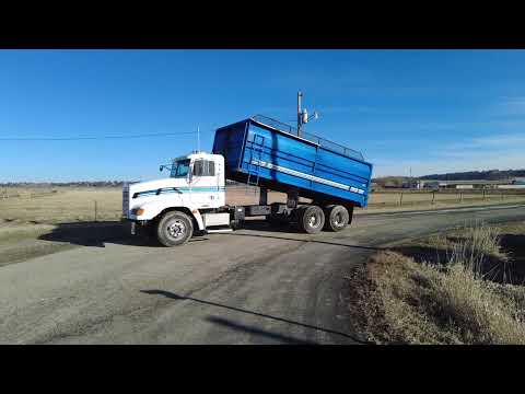 1998 Freightliner Tandem Truck (576,960miles)
