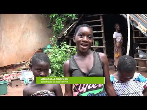 A la découverte des singes sacrés de Gbétitapia s/p de Daloa (Escale 225)