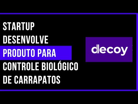4.0 no Campo: Startup desenvolve produto para controle biológico de carrapatos