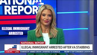 Download lagu Brutal Immigrant Murderer In Northern Virginia mp3