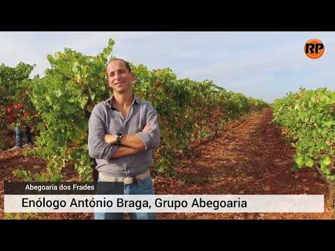 Reportagem - Lançamento dos novos vinhos do Grupo Abegoaria dos Frades