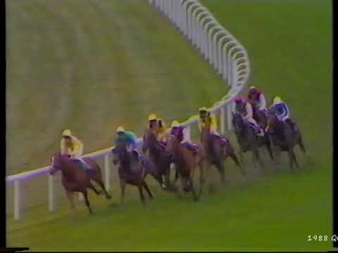 1988 Queen Elizabeth 11 Stakes Warning + Replay