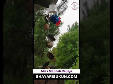 Mannali Barish shayari 