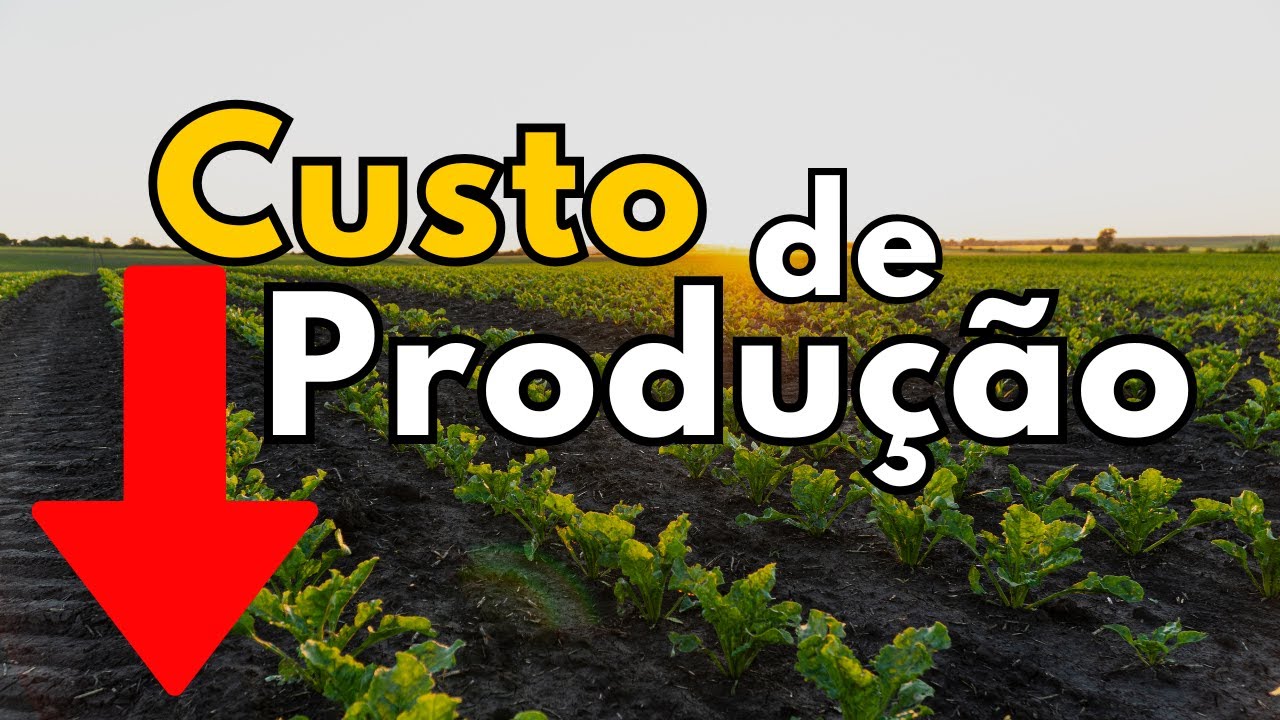 Como DIMINUIR o custo da produção agrícola?