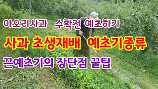 사과 초생재배  예초기종류  끈예초기장단점[사과재배]