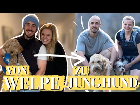 1 JAHR KRÜMEL I UNVERÖFFENTLICHTE AUFNAHMEN von der ABHOLUNG unseres TIERSCHUTZ-WELPEN