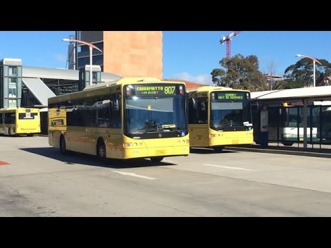 Sydney Bus Vlog 12: Liverpool Bus Interchange