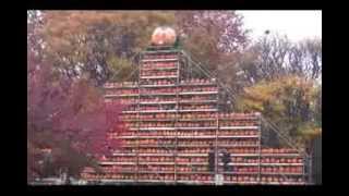 preview picture of video 'Keene Pumpkin Festival 2013 sample'