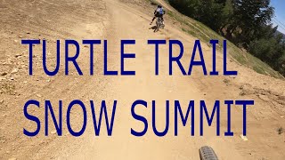 Turtle Trail 2020 complete with a high speed CRASH!!!