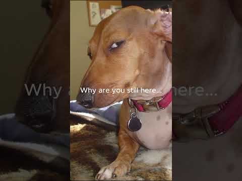 Beat starts, you stop | Shadow of the Road