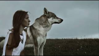 الذئب الصغير..Faolan..Oonagh