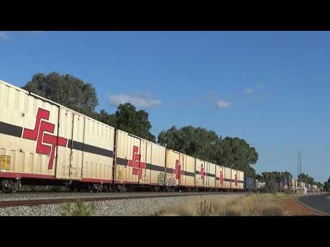 SCT001 and CSR004 on 3PM9 freight Millendon junction