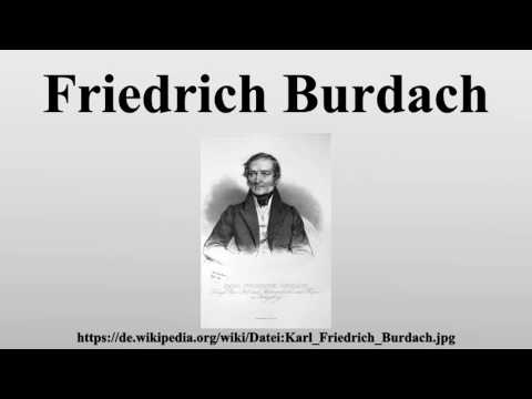 Friedrich Burdach