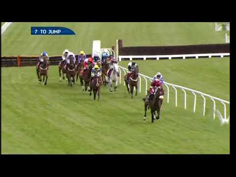 2013 Ladbrokes World Hurdle - Cheltenham Festival