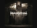 Dying in Silence - Heaven shall burn