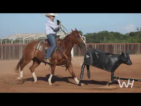 Training with the Smarty with Slick Robison