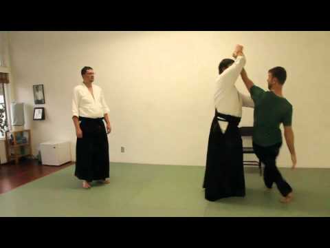 Vancover 2015 Aiki-Lab - keeping the power axis intact