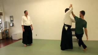 Vancover 2015 Aiki-Lab - keeping the power axis intact