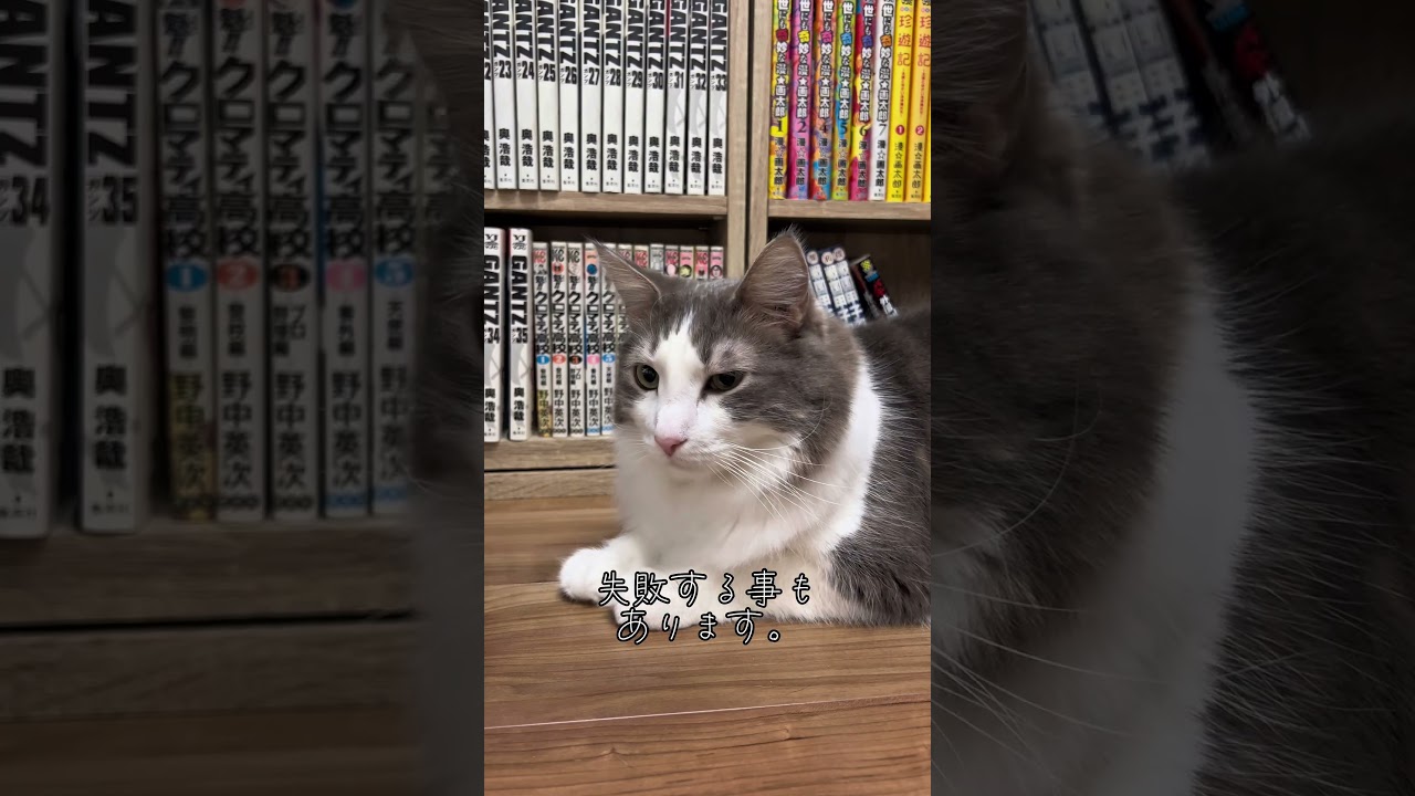 ゴルフの球をより速くする猫#shorts