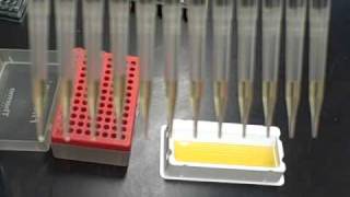 Bad Finnpipette pipette .AVI