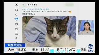 今日1嬉しそうな.のんちゃん。笑(2023年12月16日 #ウェザーニュースLiVE切り抜き〉 #お天気お姉さん #大島璃音