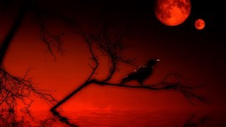 dark-ritual-ambient-(dark38-life of a dead crow)