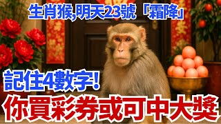 生肖猴注意！明天10月23號，農曆九月初三是「霜降」，你的偏財旺！「這4個數字」一定要記住，買彩券或可中大獎！#生肖猴 #霜降 #偏財 #財運 #幸運數字 #彩券 #中獎 #轉運 #屬猴 #土生金