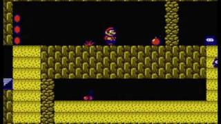 NES Longplay - Super Mario Bros. 2 (all mushrooms)