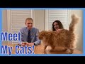 Introducing Our Cats! Meet Dr. Moran's Cats! 😺