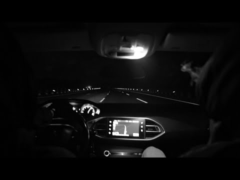 Skinny Flex - LIBERTÉ (Visualizer)