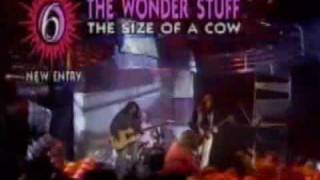 The Wonder Stuff - Size Of A Cow (TOTP 11-04-1991)