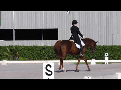 CPD 2017 & CDI 3* - LISBON -  Junior Kur Event (Oct 1st 2017)