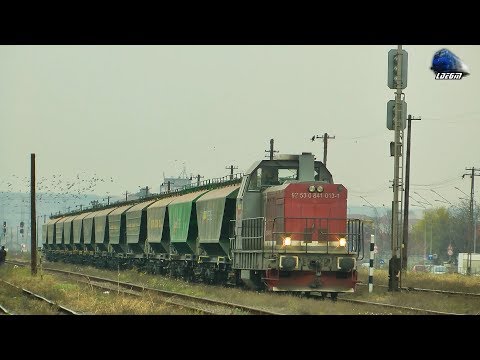 LDH 841 013-1 & Vagoane de Cereale/Cereals Wagons la Manevra/Shunting in Oradea Vest
