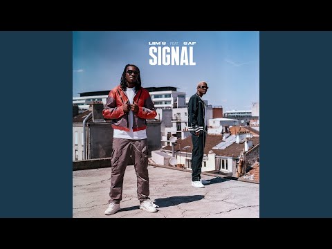 Signal