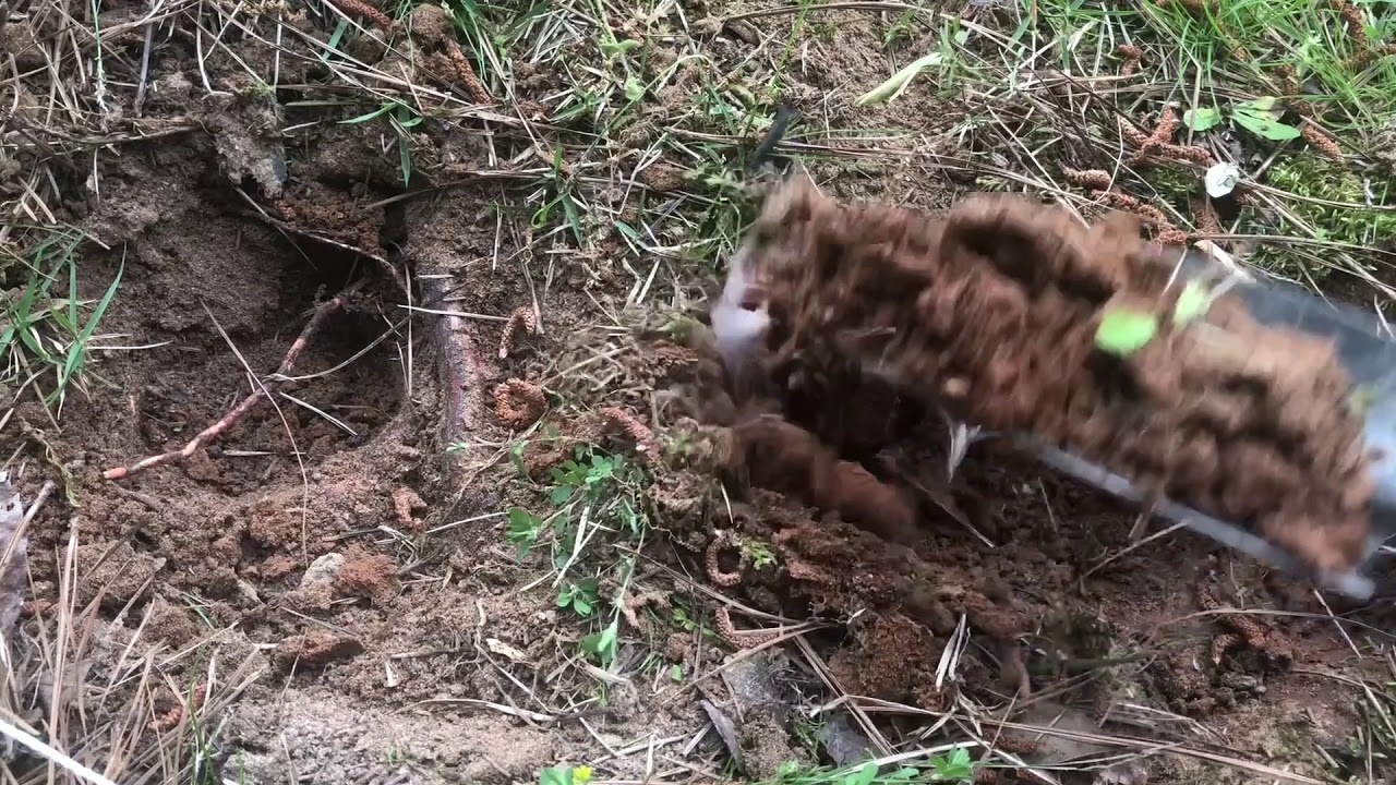 Toiling in the Soil - Lesson 20