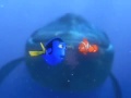 Finding Nemo Dory Speaking Whale
