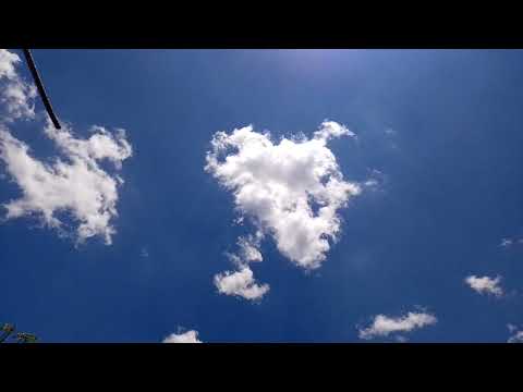 El retratista by YNIR music: Ours Samplus X Orchestra.