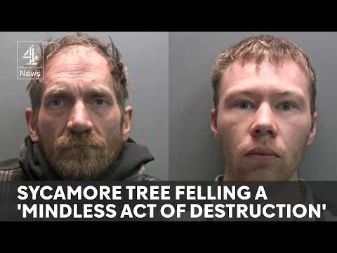 Two men found guilty of chopping down Sycamore Gap tree
