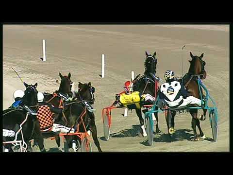 Trotto 22/11/2020 - 1ª corsa