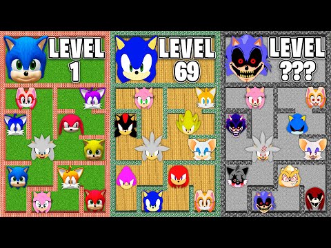 How to escape MAZE of SONIC in MINECRAFT animation! SHADOW SILVER AMY ROSE TAILS KNUCKLES PART 3
