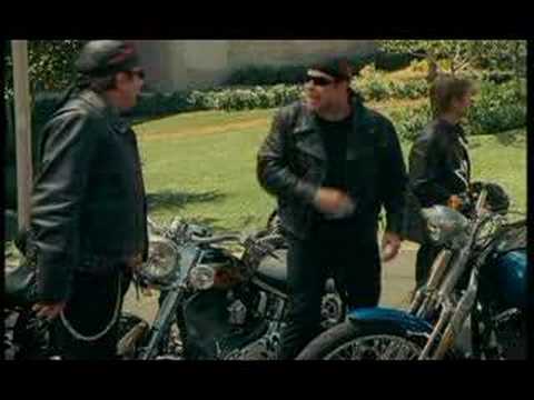 wild hogs