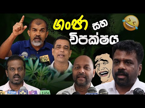 ගංජා සහ විපක්ෂය 😂 | Funny Political memes Sinhala | Political Jokes 2025