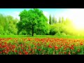 Vayalvarambil Chilambu Thulli Kalpavruksham 1978 Lyrics Sreekumaran Thampi
